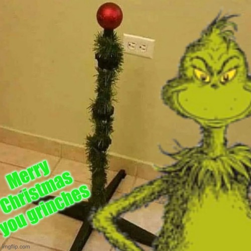 and a happy new knee surgery operation | Merry Christmas you grinches | image tagged in the grinch | made w/ Imgflip meme maker