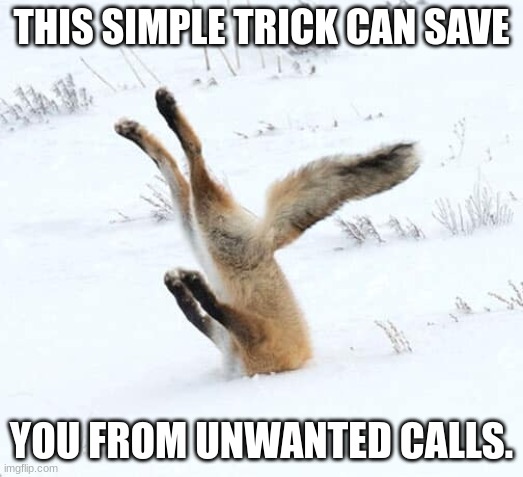 No Caller ID, No Problem | THIS SIMPLE TRICK CAN SAVE; YOU FROM UNWANTED CALLS. | image tagged in funny memes,snow,animal | made w/ Imgflip meme maker