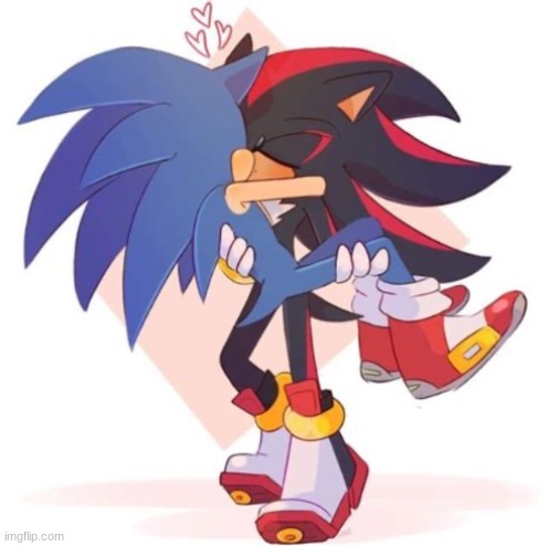 image tagged in why sonadow | made w/ Imgflip meme maker