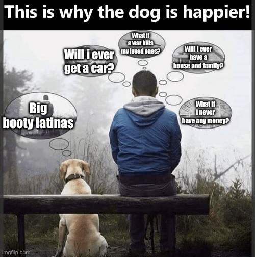 Fix your mindsets and youll be happier | What if a war kills my loved ones? Will i ever have a house and family? Will i ever get a car? Big booty latinas; What if i never have any money? | image tagged in why the dog is happier | made w/ Imgflip meme maker