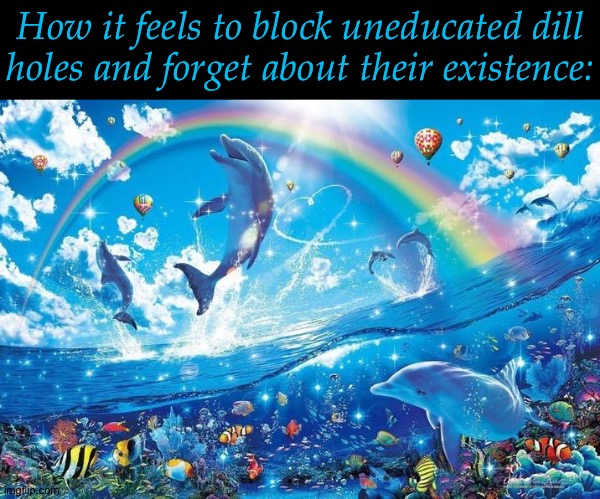 Love This Feeling | How it feels to block uneducated dill
holes and forget about their existence: | image tagged in happy dolphin rainbow,if theyre gonna be a jackass,just block them,the feeling of pure sanctuary,totally forgot about him | made w/ Imgflip meme maker