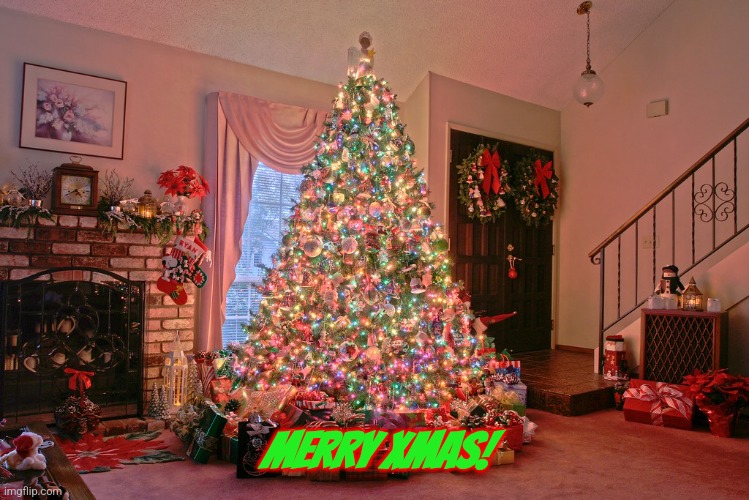 xmas tree | MERRY XMAS! | image tagged in xmas tree | made w/ Imgflip meme maker