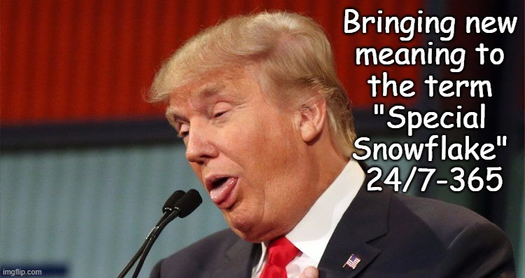 Donald J. Trump... | Bringing new
meaning to
the term
"Special
Snowflake"
 24/7-365 | image tagged in trump stupid face mocking reporter | made w/ Imgflip meme maker