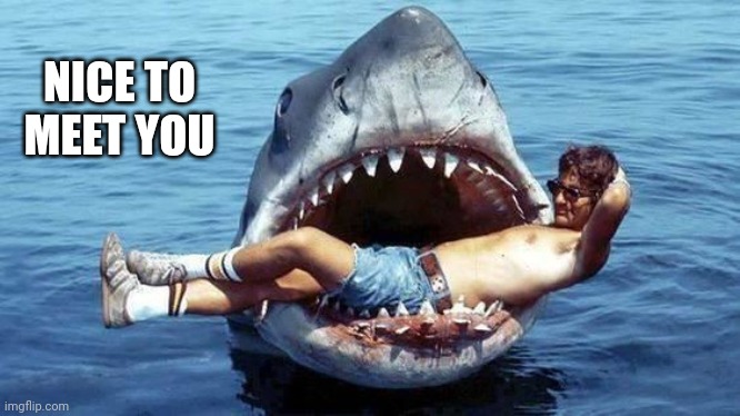 Pet Shark | NICE TO MEET YOU | image tagged in pet shark | made w/ Imgflip meme maker