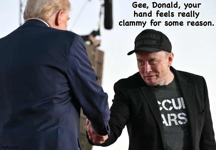 Chills going up and down his spine... | Gee, Donald, your hand feels really clammy for some reason. | image tagged in elon musk shakes hands with donald trump | made w/ Imgflip meme maker