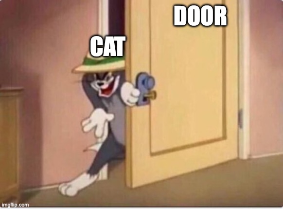 TOM SNEAKING IN A ROOM | DOOR CAT | image tagged in tom sneaking in a room | made w/ Imgflip meme maker