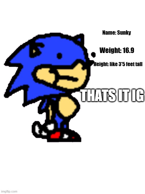 sunky | Name: Sunky; Weight: 16.9; Height: like 3'5 feet tall; THATS IT IG | image tagged in sonic,funny | made w/ Imgflip meme maker