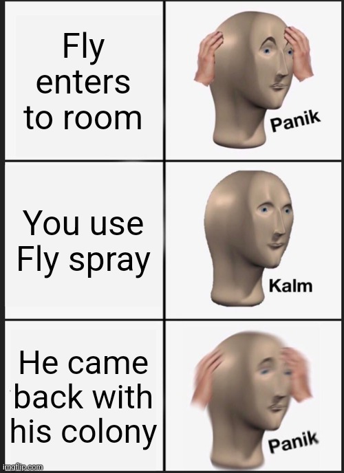 Fly meme | Fly enters to room; You use Fly spray; He came back with his colony | image tagged in memes,panik kalm panik | made w/ Imgflip meme maker