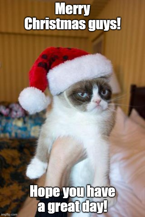 Merry Christmas | Merry Christmas guys! Hope you have a great day! | image tagged in memes,grumpy cat christmas,grumpy cat | made w/ Imgflip meme maker