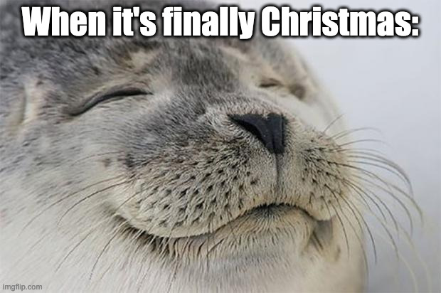 MERRY CHRISTMAS ALL IMGFLIPPERS! | When it's finally Christmas: | image tagged in memes,satisfied seal,christmas | made w/ Imgflip meme maker