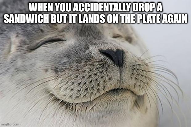 Yes | WHEN YOU ACCIDENTALLY DROP A SANDWICH BUT IT LANDS ON THE PLATE AGAIN | image tagged in memes,satisfied seal | made w/ Imgflip meme maker