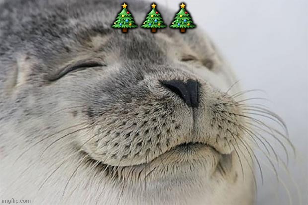 Satisfied Seal Meme | 🎄🎄🎄 | image tagged in memes,xmas,seals | made w/ Imgflip meme maker