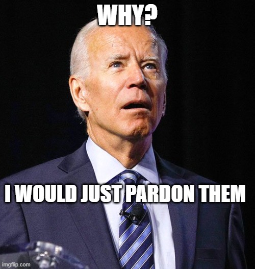 Joe Biden | WHY? I WOULD JUST PARDON THEM | image tagged in joe biden | made w/ Imgflip meme maker