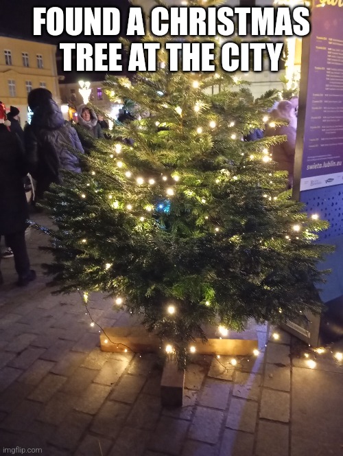 Christmas tree | FOUND A CHRISTMAS TREE AT THE CITY | image tagged in e | made w/ Imgflip meme maker