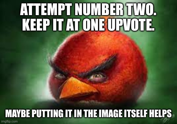 Realistic Red Angry Birds | ATTEMPT NUMBER TWO. KEEP IT AT ONE UPVOTE. MAYBE PUTTING IT IN THE IMAGE ITSELF HELPS | image tagged in realistic red angry birds | made w/ Imgflip meme maker