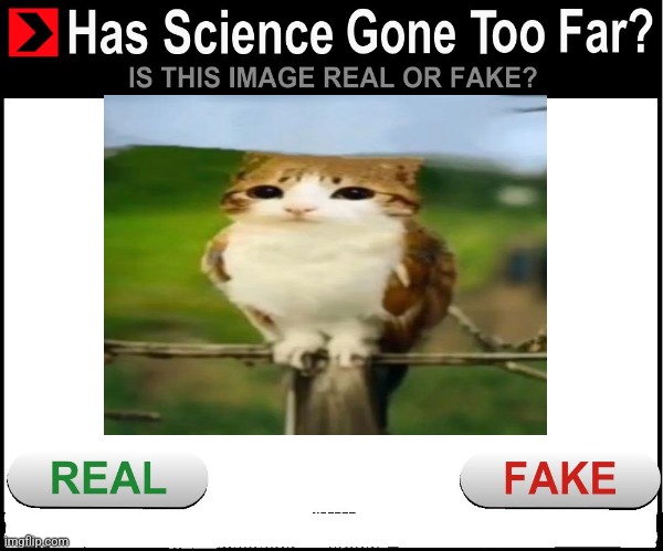 Has science gone too far | image tagged in has science gone too far | made w/ Imgflip meme maker