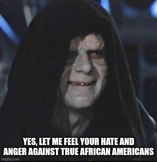 Sidious Error Meme | YES, LET ME FEEL YOUR HATE AND ANGER AGAINST TRUE AFRICAN AMERICANS | image tagged in memes,sidious error | made w/ Imgflip meme maker