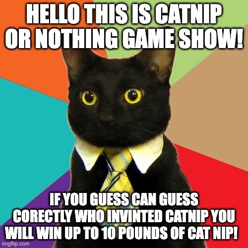 game show cat | HELLO THIS IS CATNIP OR NOTHING GAME SHOW! IF YOU GUESS CAN GUESS CORECTLY WHO INVINTED CATNIP YOU WILL WIN UP TO 10 POUNDS OF CAT NIP! | image tagged in business cat | made w/ Imgflip meme maker