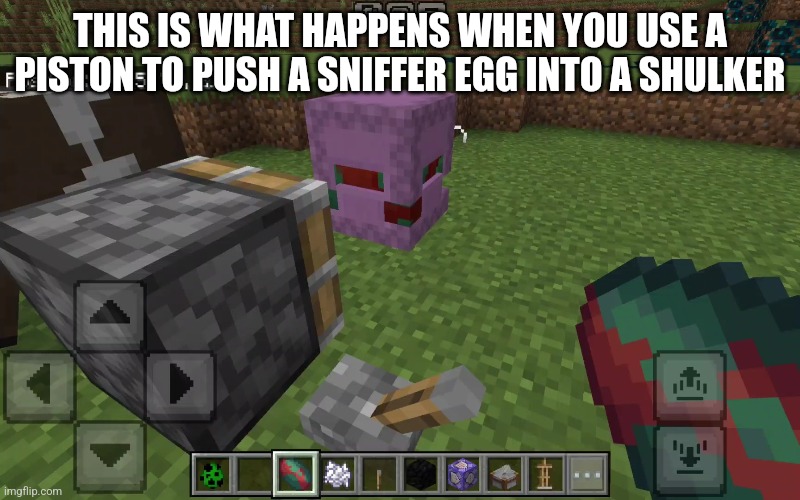 It looks like something | THIS IS WHAT HAPPENS WHEN YOU USE A PISTON TO PUSH A SNIFFER EGG INTO A SHULKER | image tagged in minecraft,weird | made w/ Imgflip meme maker