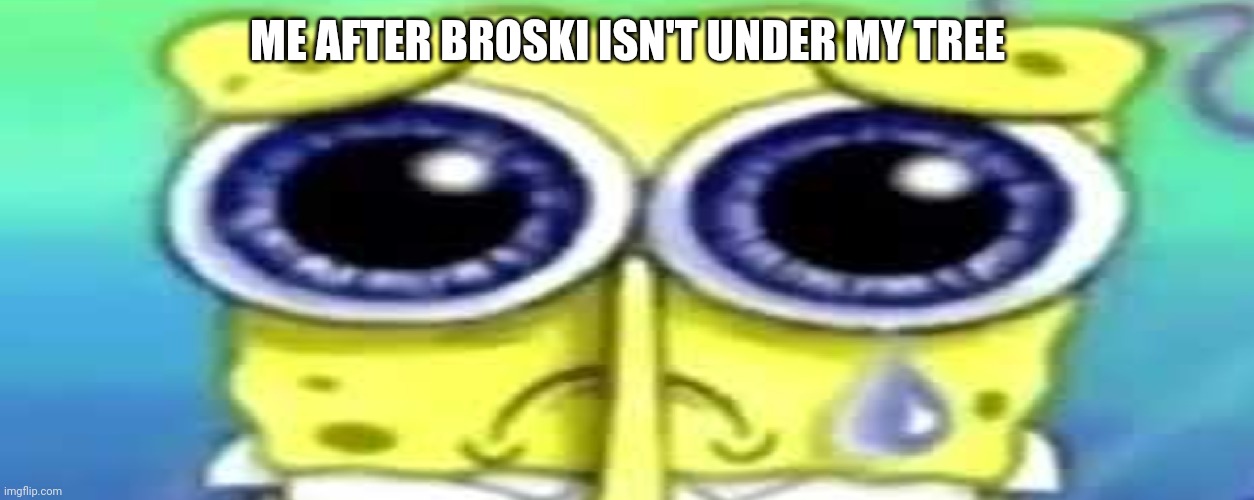 Sad Spong | ME AFTER BROSKI ISN'T UNDER MY TREE | image tagged in sad spong | made w/ Imgflip meme maker