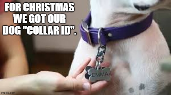 memes by Brad - We got our dog "collar ID" for Christmas | FOR CHRISTMAS WE GOT OUR DOG "COLLAR ID". | image tagged in funny,fun,dog,iphone,funny dog memes,funny dog | made w/ Imgflip meme maker