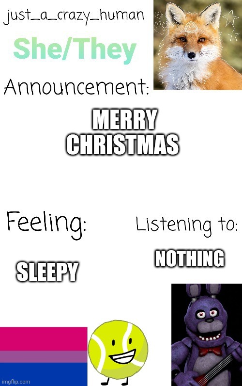 Merry Christmas | MERRY CHRISTMAS; NOTHING; SLEEPY | image tagged in just_a_crazy_human announcement | made w/ Imgflip meme maker