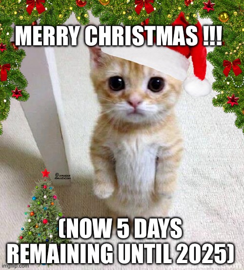 el gato | MERRY CHRISTMAS !!! (NOW 5 DAYS REMAINING UNTIL 2025) | image tagged in el gato,cat,merry christmas,christmas,2025,happy new year | made w/ Imgflip meme maker