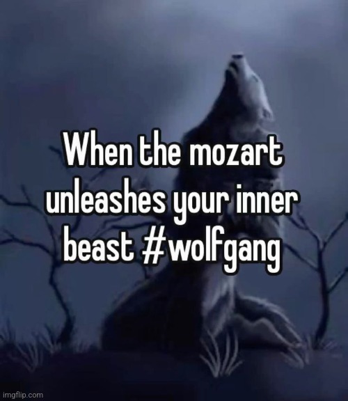 I GET IT HIS FIRST NAME WAS WOLFGANG | made w/ Imgflip meme maker