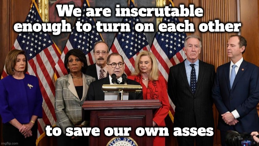 House Democrats | We are inscrutable enough to turn on each other to save our own asses | image tagged in house democrats | made w/ Imgflip meme maker