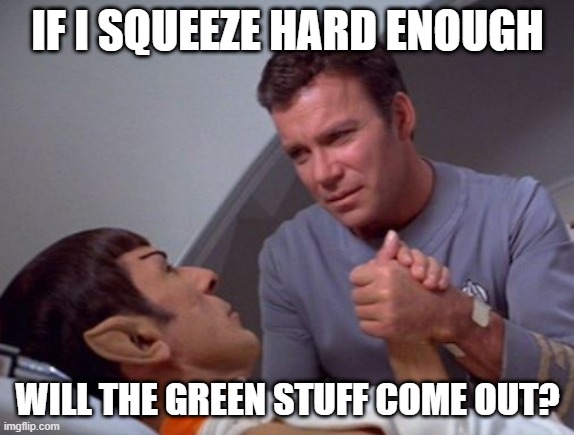 Green Blooded | IF I SQUEEZE HARD ENOUGH; WILL THE GREEN STUFF COME OUT? | image tagged in star trek | made w/ Imgflip meme maker