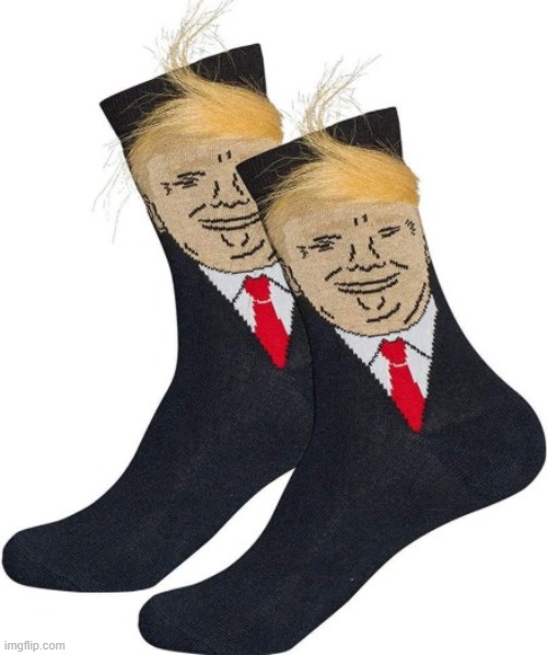 Say Nothing but Wear your Cargo Shorts and Birkenstocks around Leftist Relatives | image tagged in trump socks | made w/ Imgflip meme maker