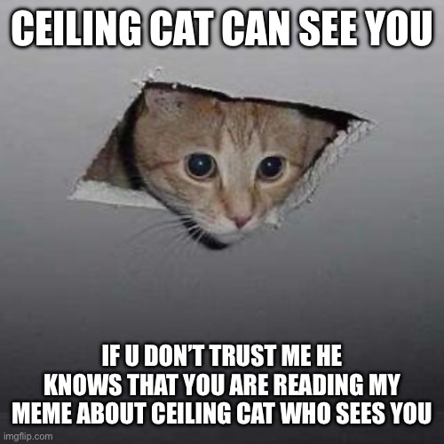 Well he see ya | CEILING CAT CAN SEE YOU; IF U DON’T TRUST ME HE KNOWS THAT YOU ARE READING MY MEME ABOUT CEILING CAT WHO SEES YOU😼 | image tagged in memes,ceiling cat,cat,funny cats,funny memes | made w/ Imgflip meme maker