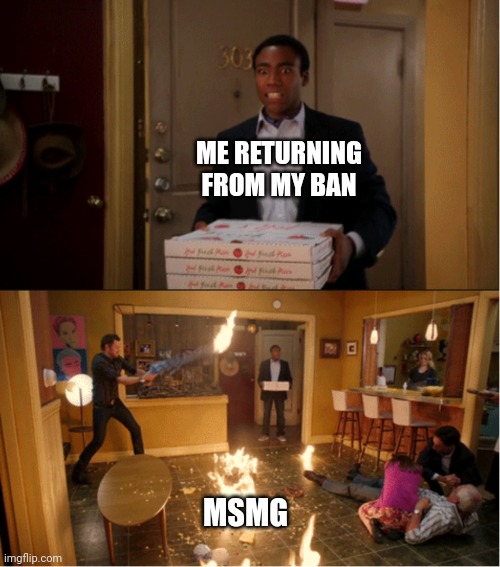 What happened now? | ME RETURNING FROM MY BAN; MSMG | image tagged in community fire pizza meme | made w/ Imgflip meme maker