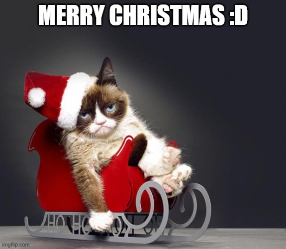 YEYYYYY | MERRY CHRISTMAS :D | image tagged in grumpy cat christmas hd,merry christmas | made w/ Imgflip meme maker