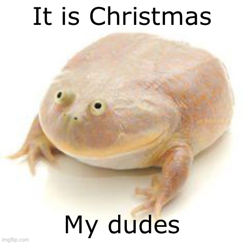 Get it | It is Christmas; My dudes | image tagged in wednesday frog blank | made w/ Imgflip meme maker