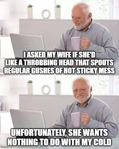 Not Having It | I ASKED MY WIFE IF SHE'D LIKE A THROBBING HEAD THAT SPOUTS REGULAR GUSHES OF HOT STICKY MESS; UNFORTUNATELY, SHE WANTS NOTHING TO DO WITH MY COLD | image tagged in memes,hide the pain harold | made w/ Imgflip meme maker