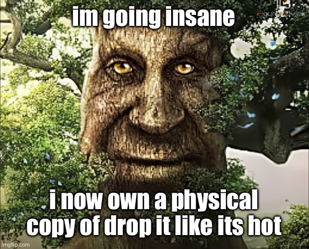 i can be a stoner even if a solar flare destroys the internet | im going insane; i now own a physical copy of drop it like its hot | image tagged in tree | made w/ Imgflip meme maker