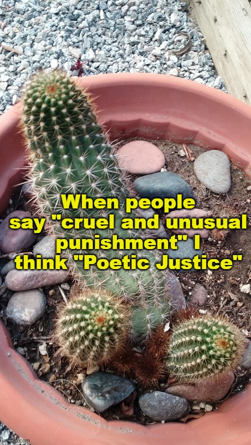 Cactus Prick  | When people say "cruel and unusual punishment" I think "Poetic Justice" | image tagged in cactus prick | made w/ Imgflip meme maker