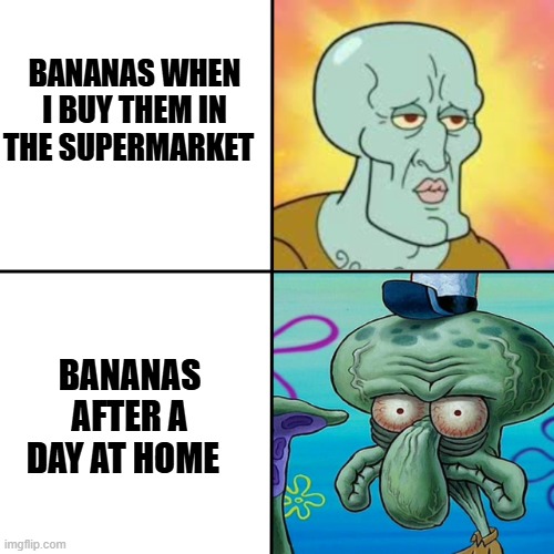 Bananas | BANANAS WHEN I BUY THEM IN THE SUPERMARKET; BANANAS AFTER A DAY AT HOME | image tagged in squidward meme template | made w/ Imgflip meme maker