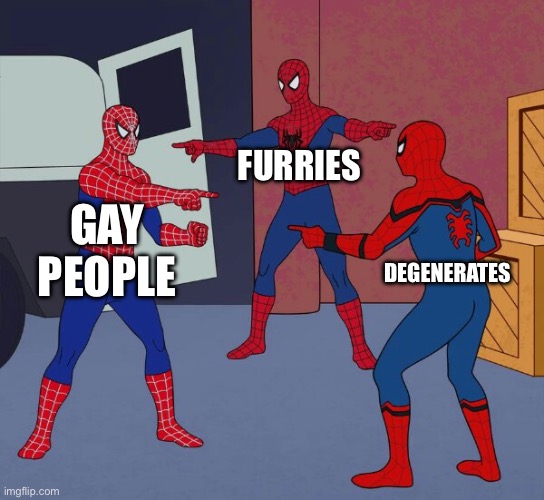 Spider Man Triple | FURRIES; GAY PEOPLE; DEGENERATES | image tagged in spider man triple | made w/ Imgflip meme maker