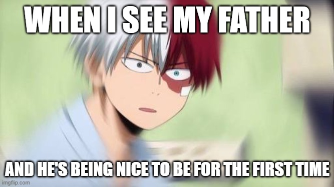 HUH? | WHEN I SEE MY FATHER; AND HE'S BEING NICE TO BE FOR THE FIRST TIME | image tagged in todoroki confused af | made w/ Imgflip meme maker