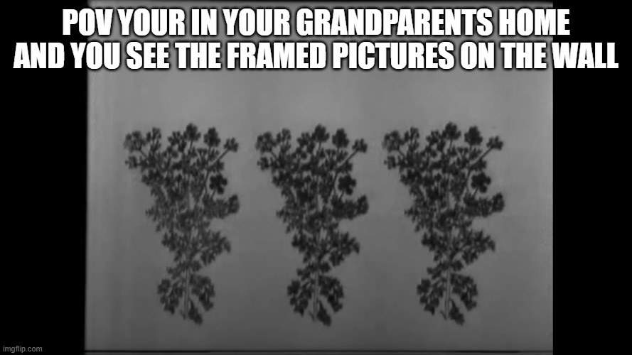 pov grandparents | POV YOUR IN YOUR GRANDPARENTS HOME AND YOU SEE THE FRAMED PICTURES ON THE WALL | image tagged in nostalgia | made w/ Imgflip meme maker