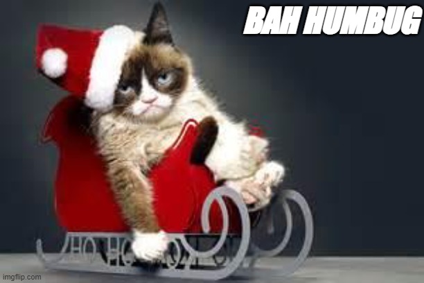 Grumpy Cat Christmas | BAH HUMBUG | image tagged in grumpy cat christmas | made w/ Imgflip meme maker