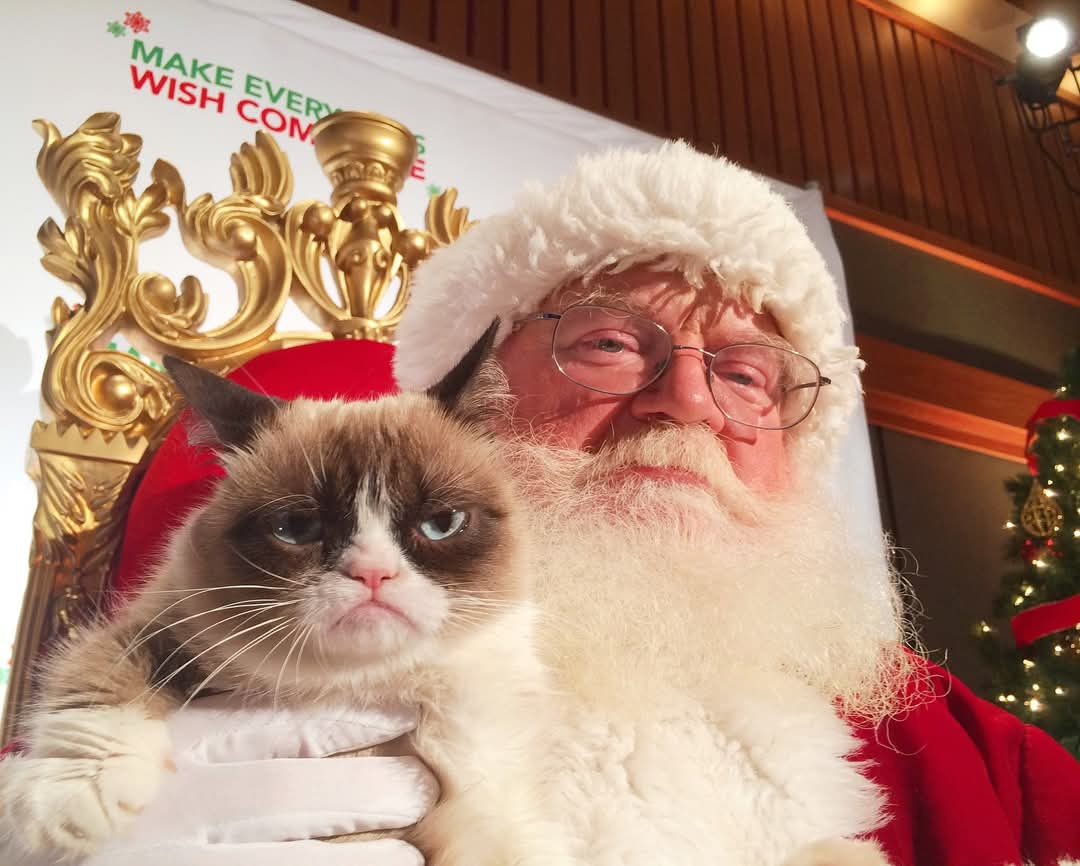 Santa grumpy cat christmas Blank Meme Template