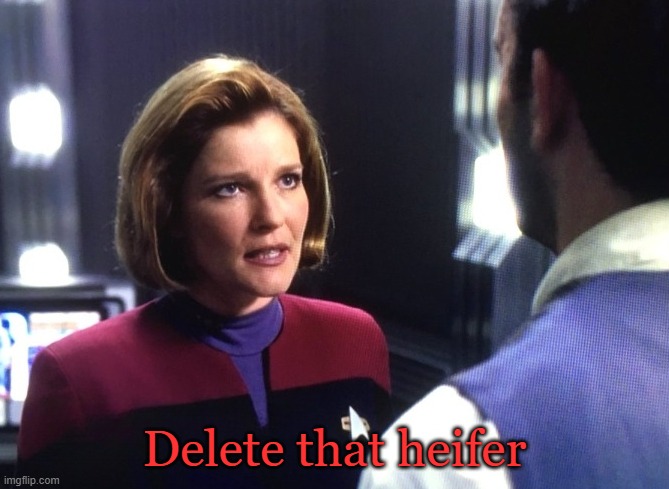 Janeway Delete The Wife | Delete that heifer | image tagged in janeway delete the wife,star trek,star trek voyager,voyager,janeway | made w/ Imgflip meme maker