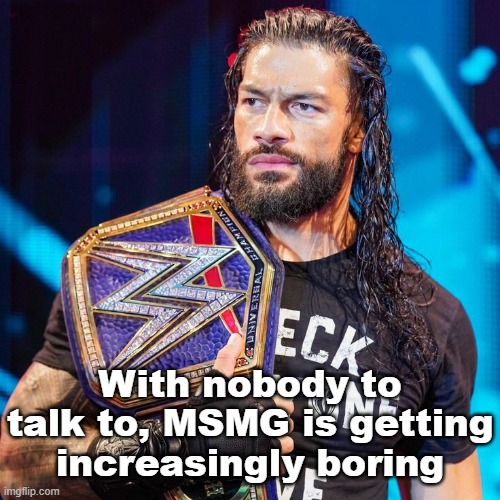 Roman Reigns | With nobody to talk to, MSMG is getting increasingly boring | image tagged in roman reigns | made w/ Imgflip meme maker