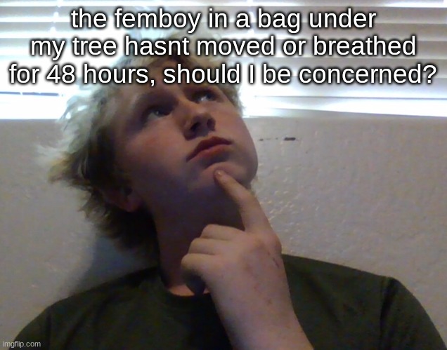 the femboy in a bag under my tree hasnt moved or breathed for 48 hours, should I be concerned? | made w/ Imgflip meme maker