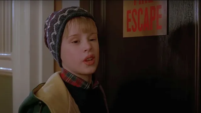 HOME ALONE FILTHY ANIMAL Blank Meme Template