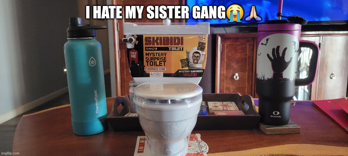 I HATE MY SISTER GANG😭🙏🏻 | made w/ Imgflip meme maker