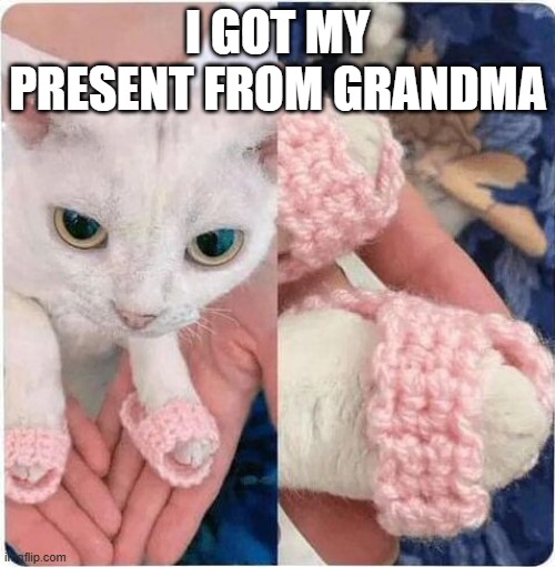 Grandma's Gift | I GOT MY PRESENT FROM GRANDMA | image tagged in smudge the cat | made w/ Imgflip meme maker